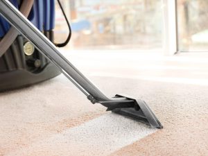 Carpet Cleaner
