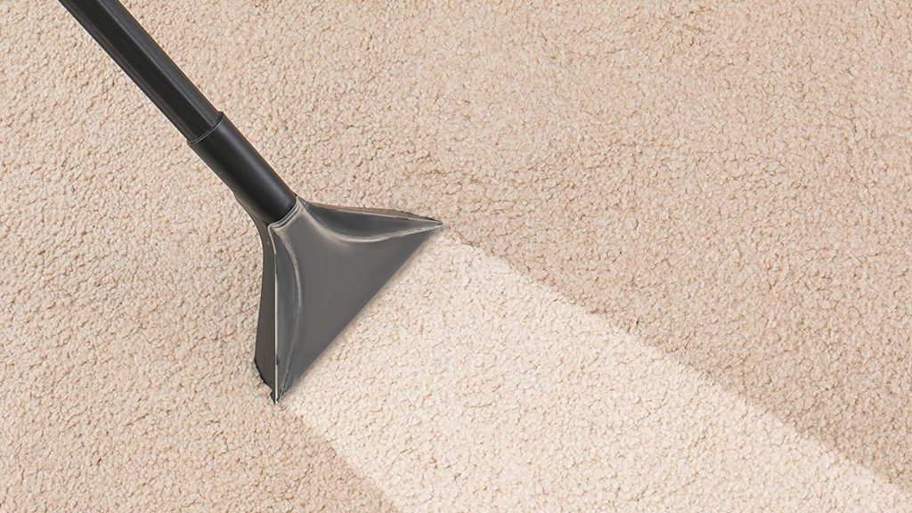 Expert Tips on Choosing the Best Carpet Cleaning Service for Your Household