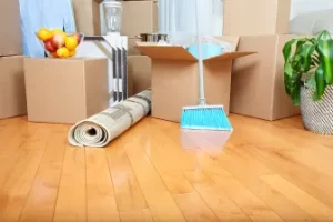move-in/out cleaning