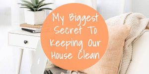 professional deep cleaning