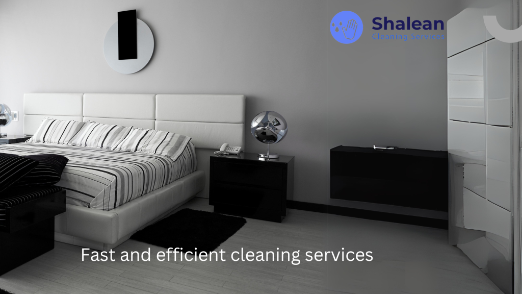 shalean cleaning services