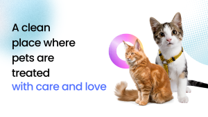 Pet-Friendly Cleaning