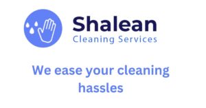 best cleaning service in cape town