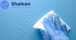 last-minute cleaning tips