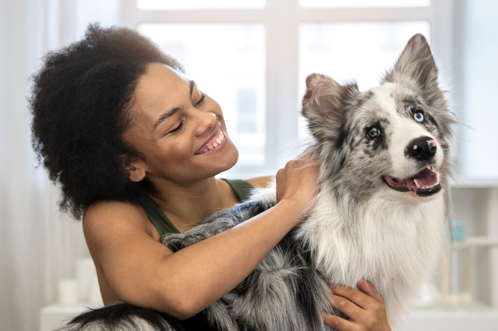Secure Your Pets